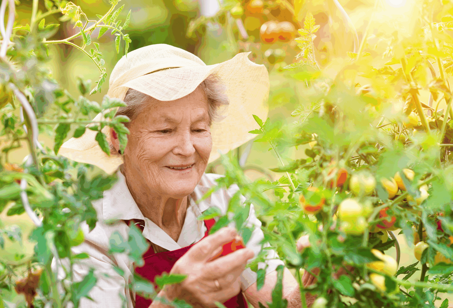 Artis Power Of Nature April 2026 Web Scaled