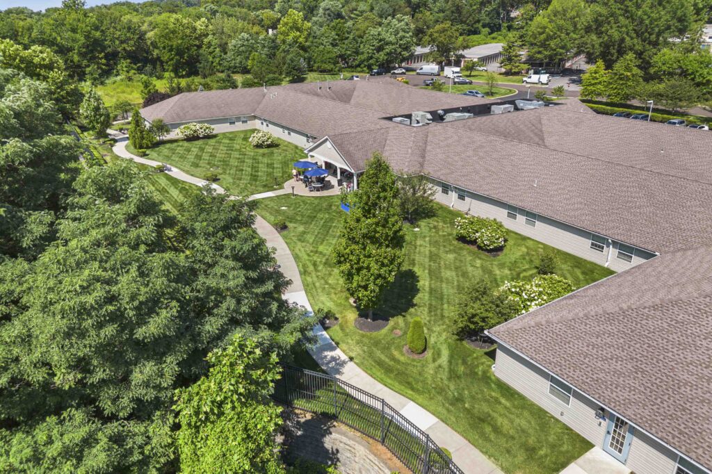 031 HV Drone with Greenery 01 copy 2
