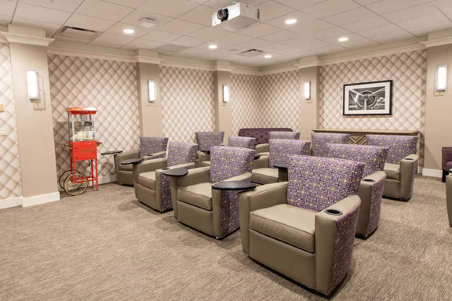 9 Lakeview theatre room