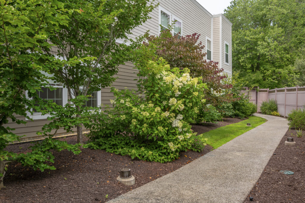 Briarcliff Print 28
